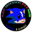 Hedgehog Racer