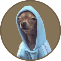 HOODOG