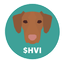 Hungarian Vizsla Inu