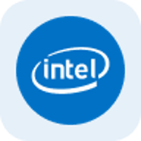 rINTC