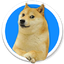 Kabosu Inu