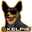 Kelpie Inu