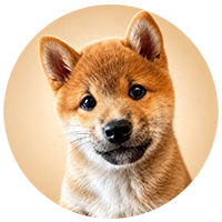 MEEKO