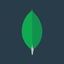Mongodb Inc (Derivatives)