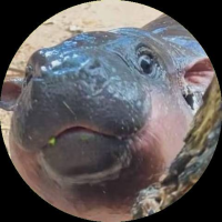 MOODENG