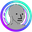 NPC DAO