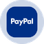 PayPal Tokenized Stock (Ondo)