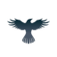Raven Protocol