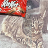 KITKAT