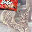 Remember KitKat