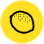 Ripe DAO Governance Token