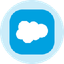 Salesforce Inc (Derivatives)