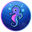 SeahorseChain