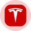 Tesla Tokenized Stock (Ondo)
