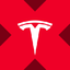 Tesla tokenized stock (xStock)