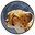 Token Cheetah