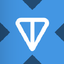 Ton Strategy tokenized stock (xStock)