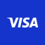 Visa Inc (Derivatives)