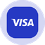 Visa Tokenized Stock (Ondo)