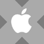 Wrapped Apple Tokenized stock (xStock)