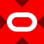 Wrapped Oracle Tokenized stock (xStock)