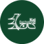 صرافی کاج