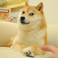 Own The Doge