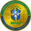 Brazil National Football Team Fan Token