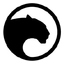 Panther Protocol