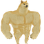 Swole Doge
