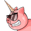 SwinCoin