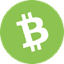 Wrapped Bitcoin Cash