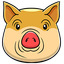 Pige