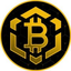 Bitcoin BSC
