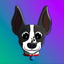 TOLY’S DOG