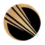 Game Meteor Coin