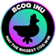 BLACK COQINU