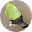 catwifbag