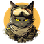 Kitten Haimer