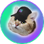 CatSolHat