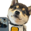 littlemanyu