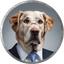Big Dog Fink