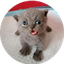 snipy