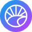 Camino Network