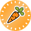 Carrot by Puffer