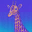 Pectra Giraffe