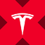 Wrapped Tesla Tokenized stock (xStock)