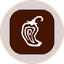 Chipotle Tokenized Stock (Ondo)