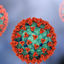 HantaVirus