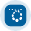 Credo Technology Group Holding Tokenized Stock (Ondo)